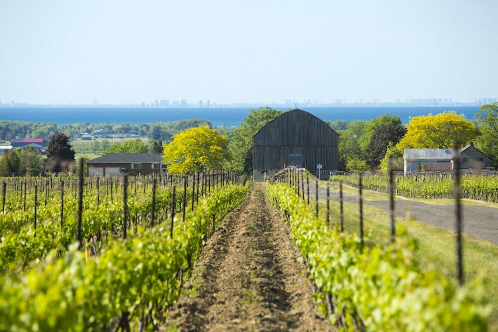 Фото The Ritz-Carlton, Toronto