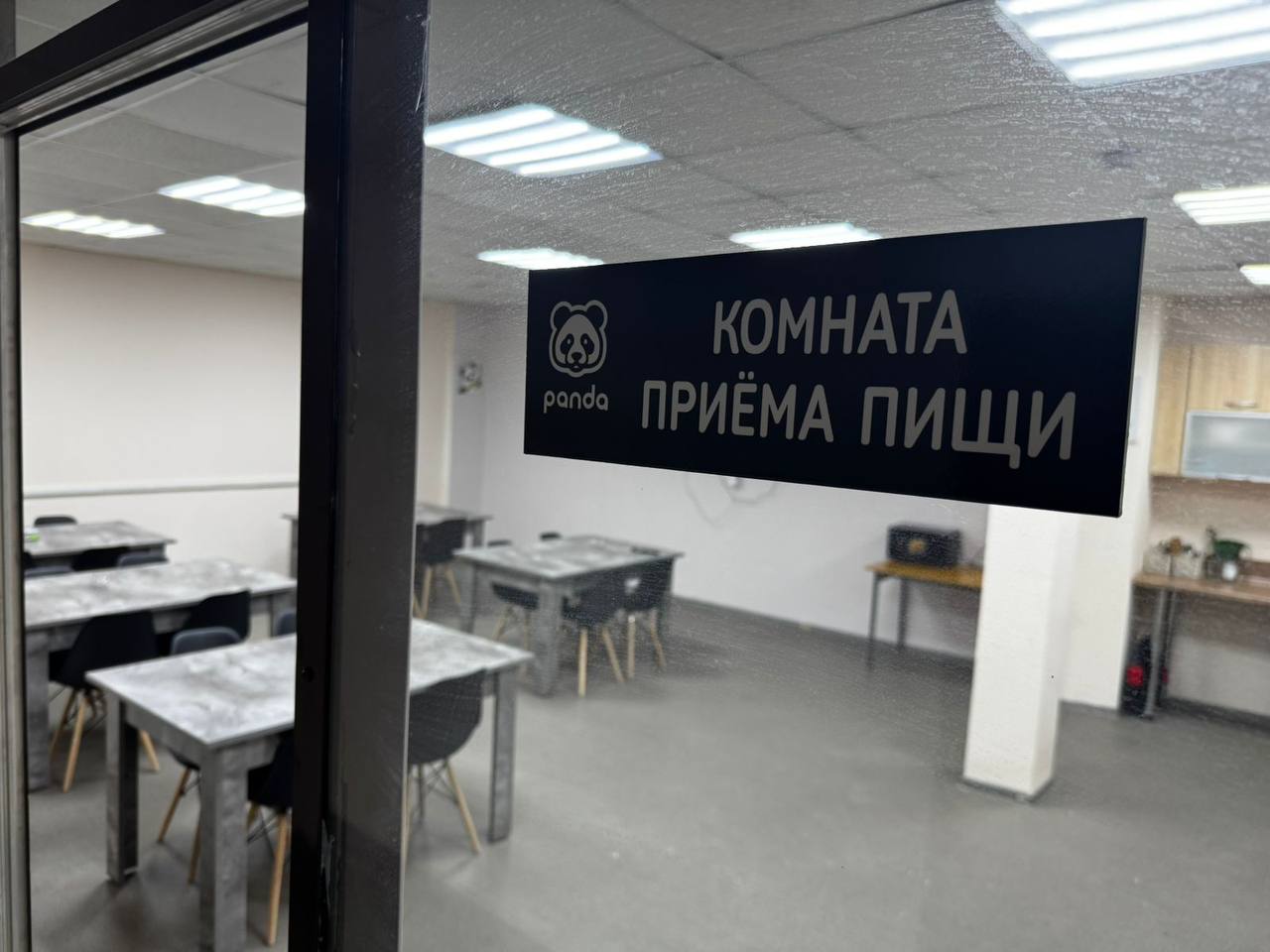 Фото Панда