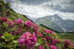 Travel Charme Ifen Hotel Kleinwalsertal