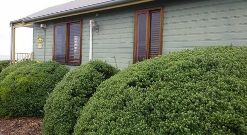 Гостиница Kiama Harbour Cabins в Киаме