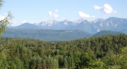 Гостиница Gasthof Thomann в Каринтии