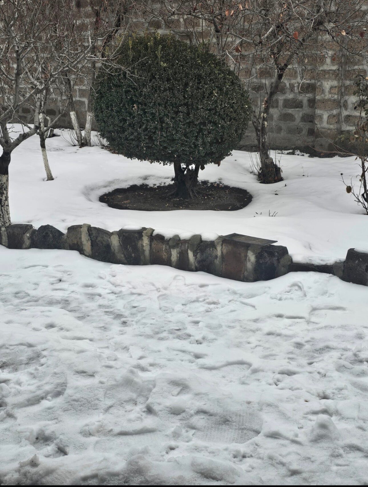 Фото Kesabella Touristic House