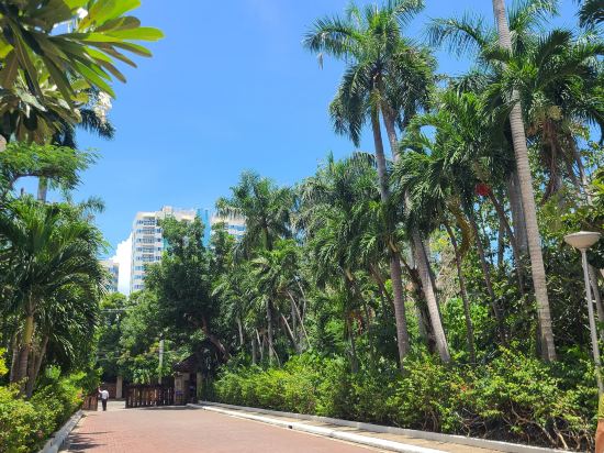 Фото Coralpoint Gardens