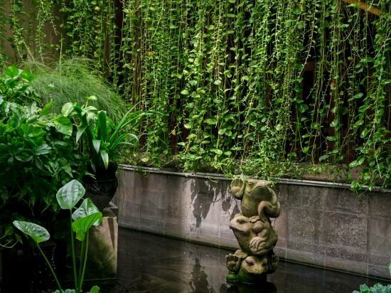 Фото The Tusita Hotel