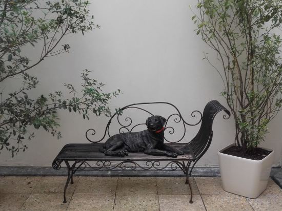 Фото Hotel de La Cité Rougemont