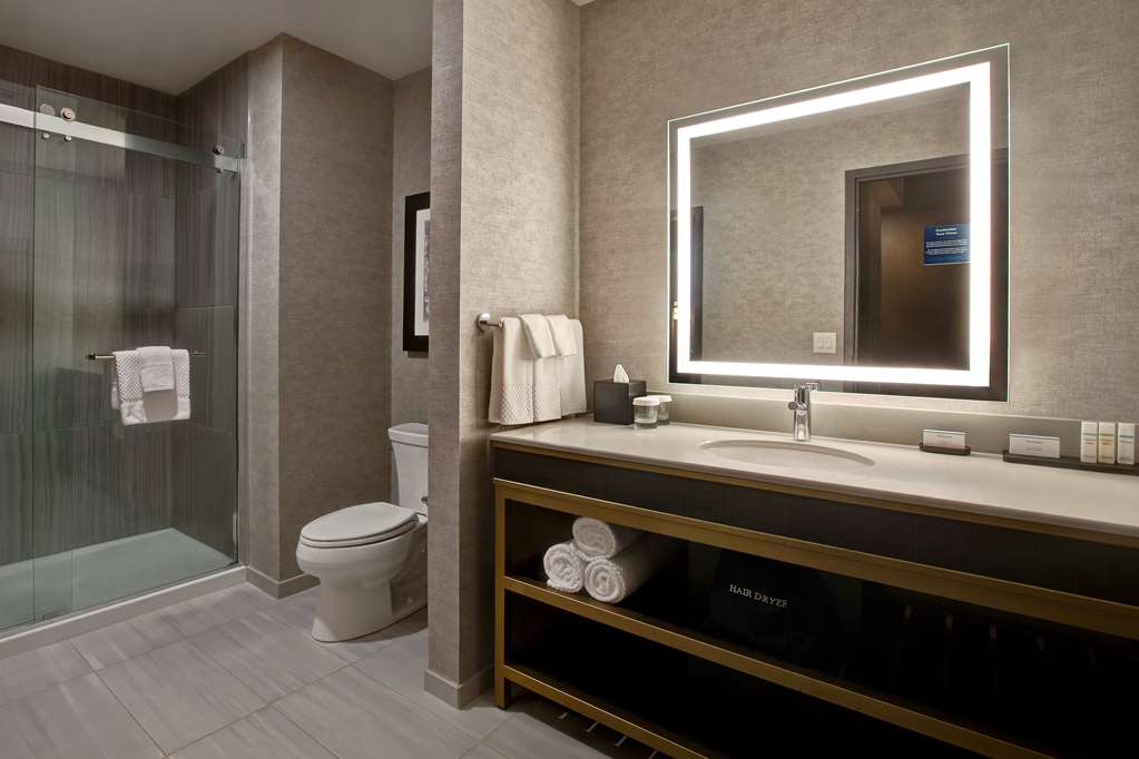 Фото Embassy Suites by Hilton Rockford Riverfront