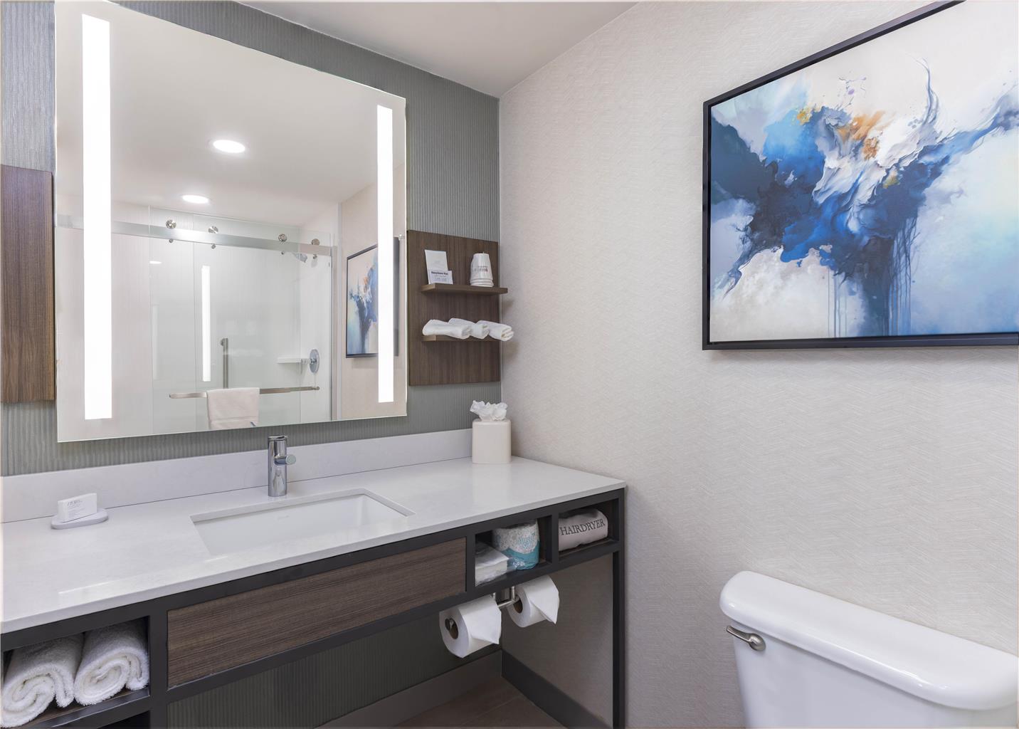Фото Hilton Garden Inn Des Moines/Urbandale