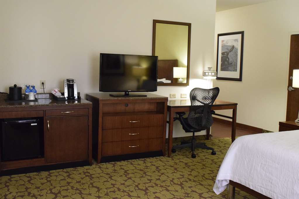 Фото Hilton Garden Inn Rochester Downtown