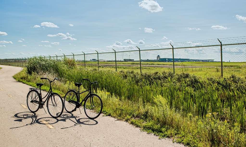 Фото Hilton Winnipeg Airport Suites
