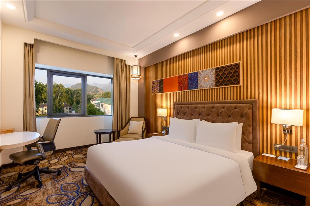 Фото Radisson Srinagar