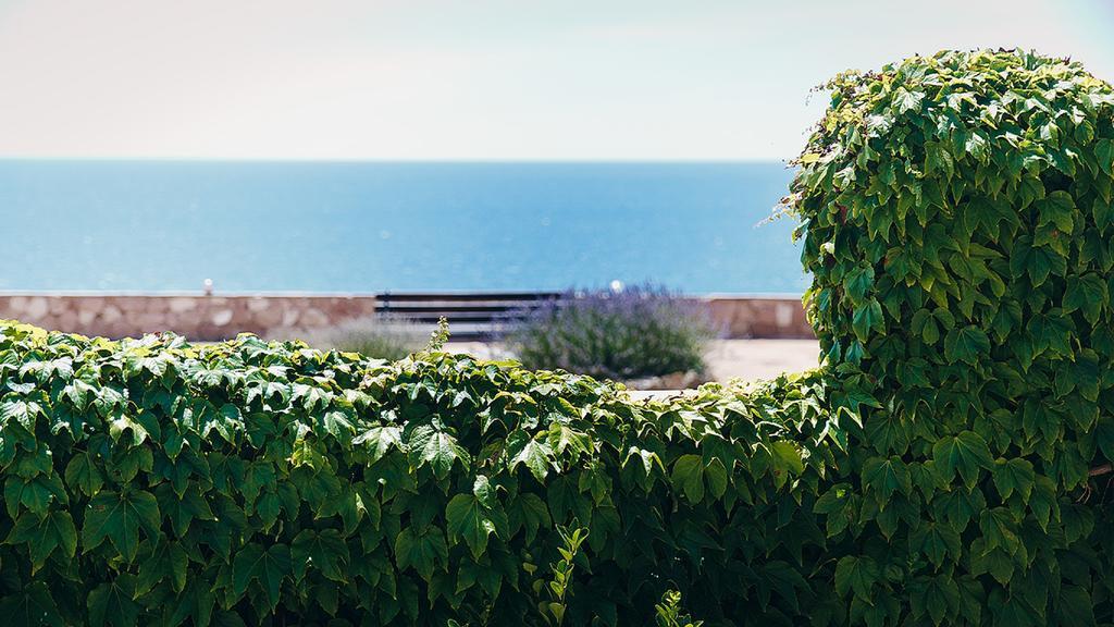 Фото Морская Феерия