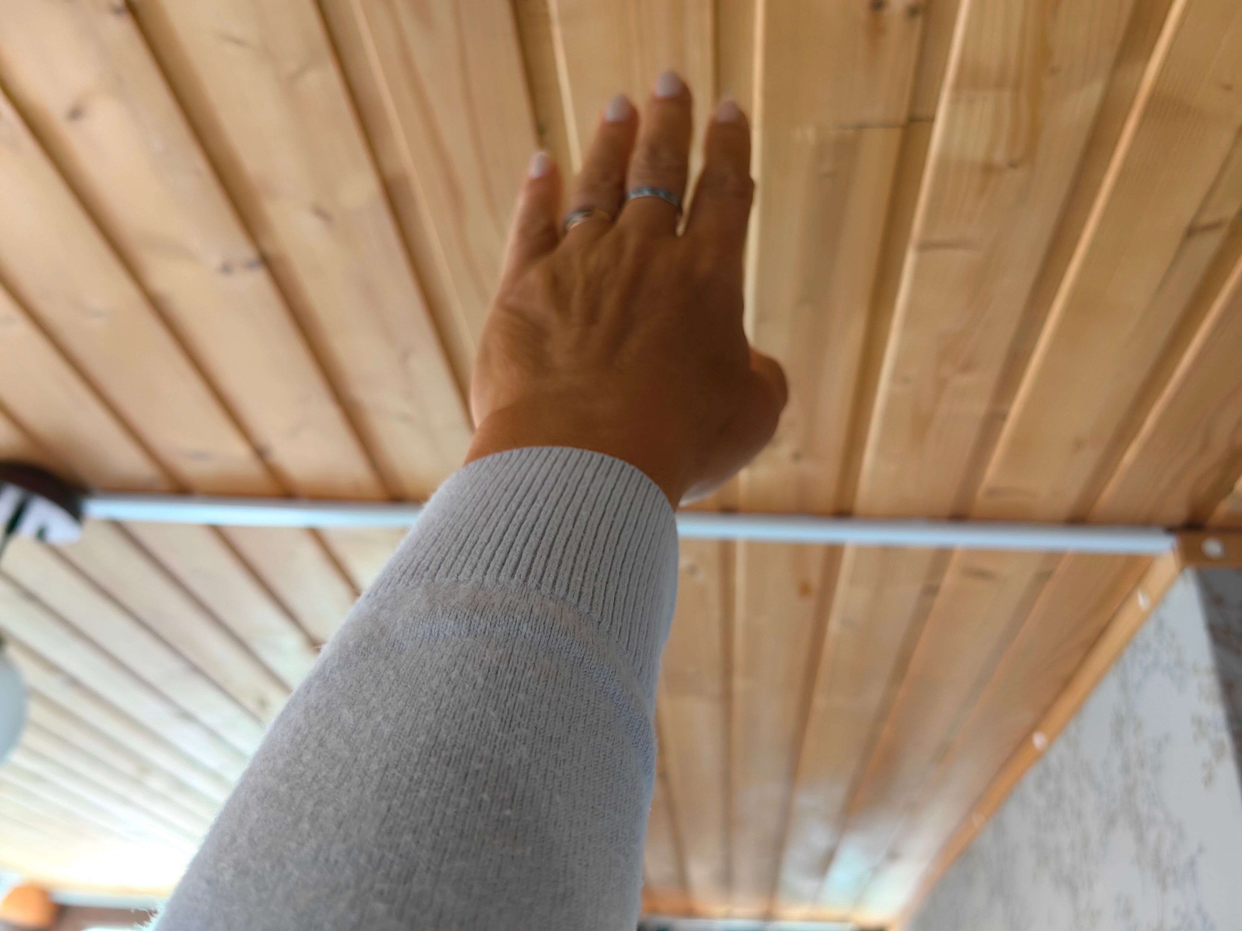 Фото Paliashvili