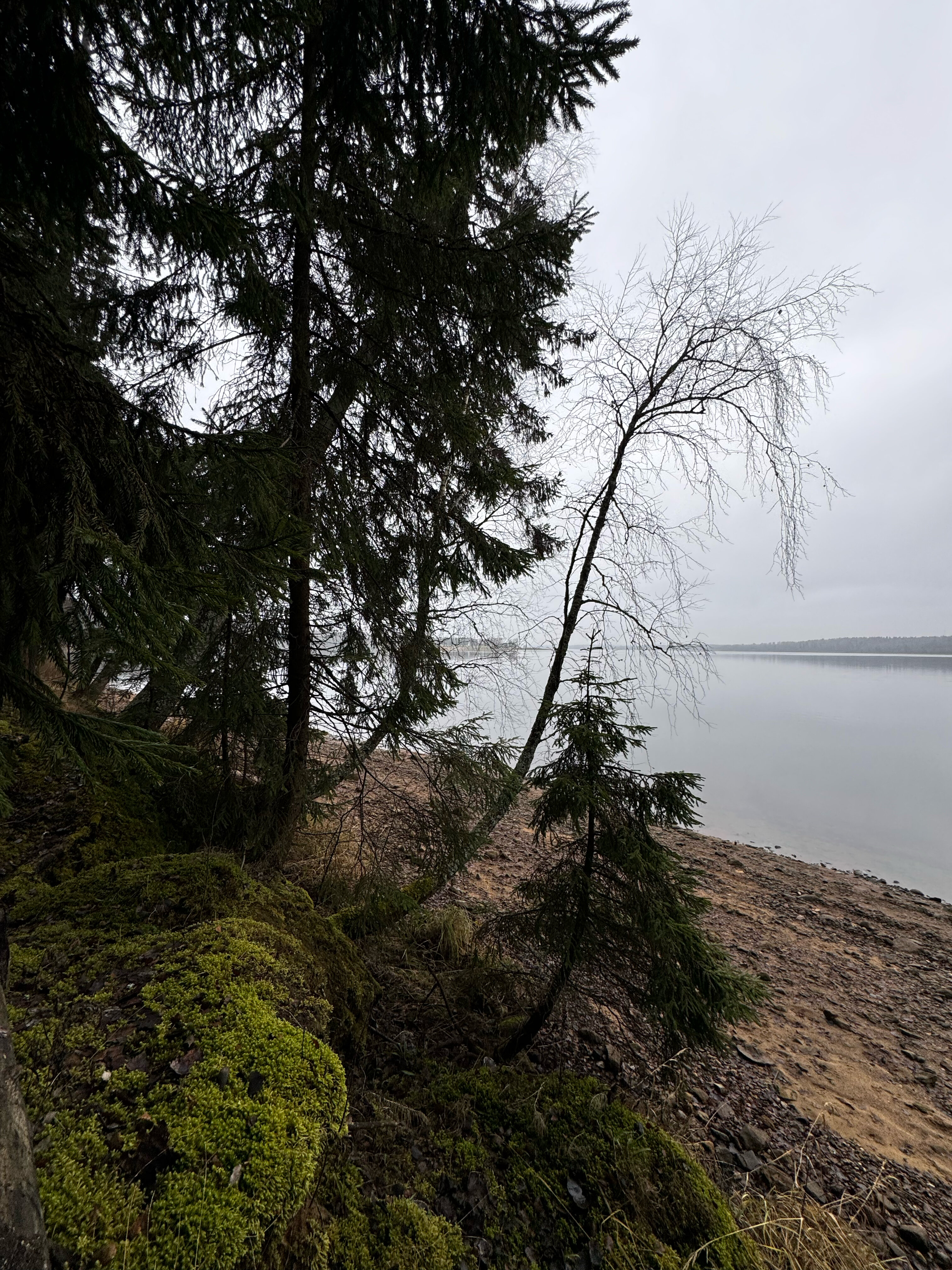 Фото Ruza River Club