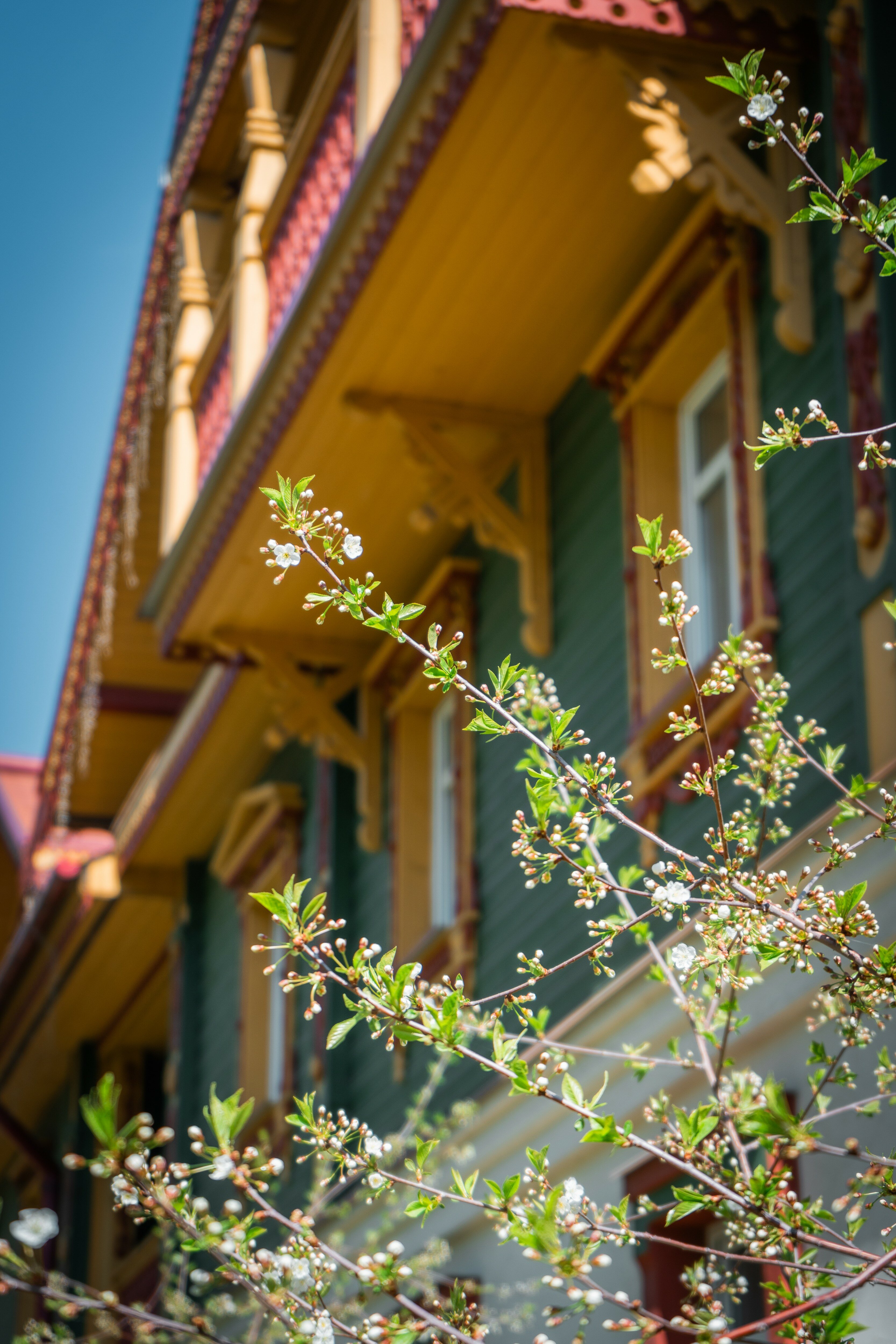 Фото Русская Деревня