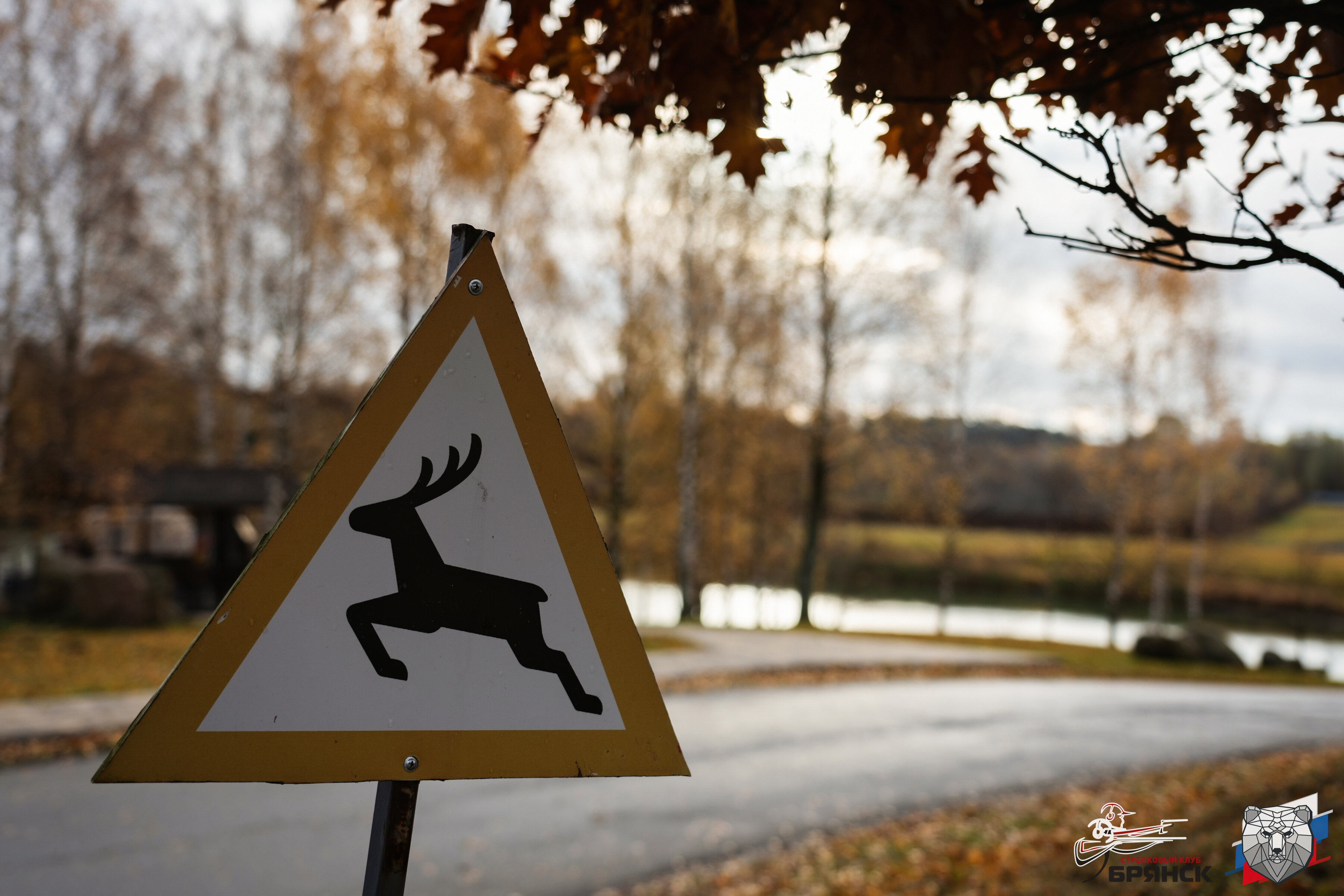 Фото Елисеевы поля