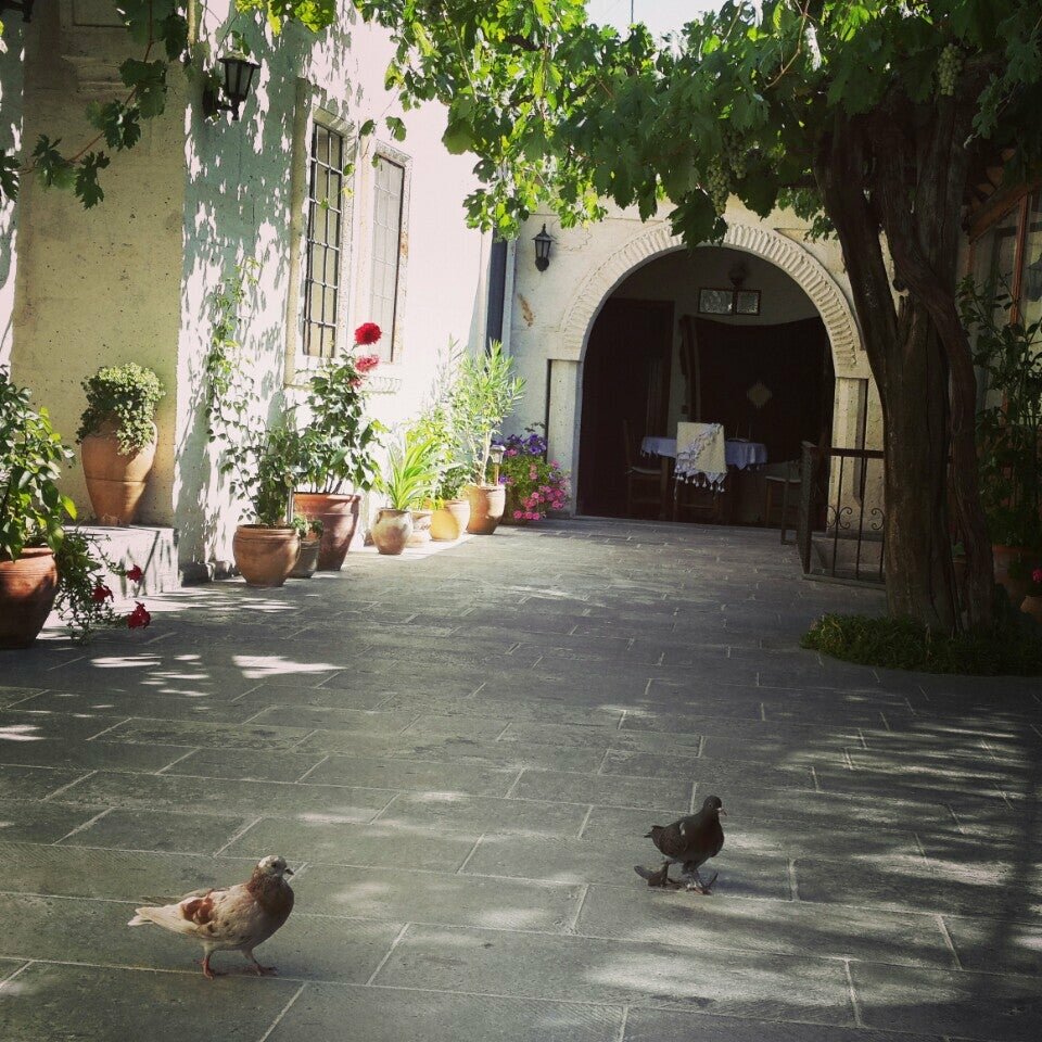 Фото отеля 5