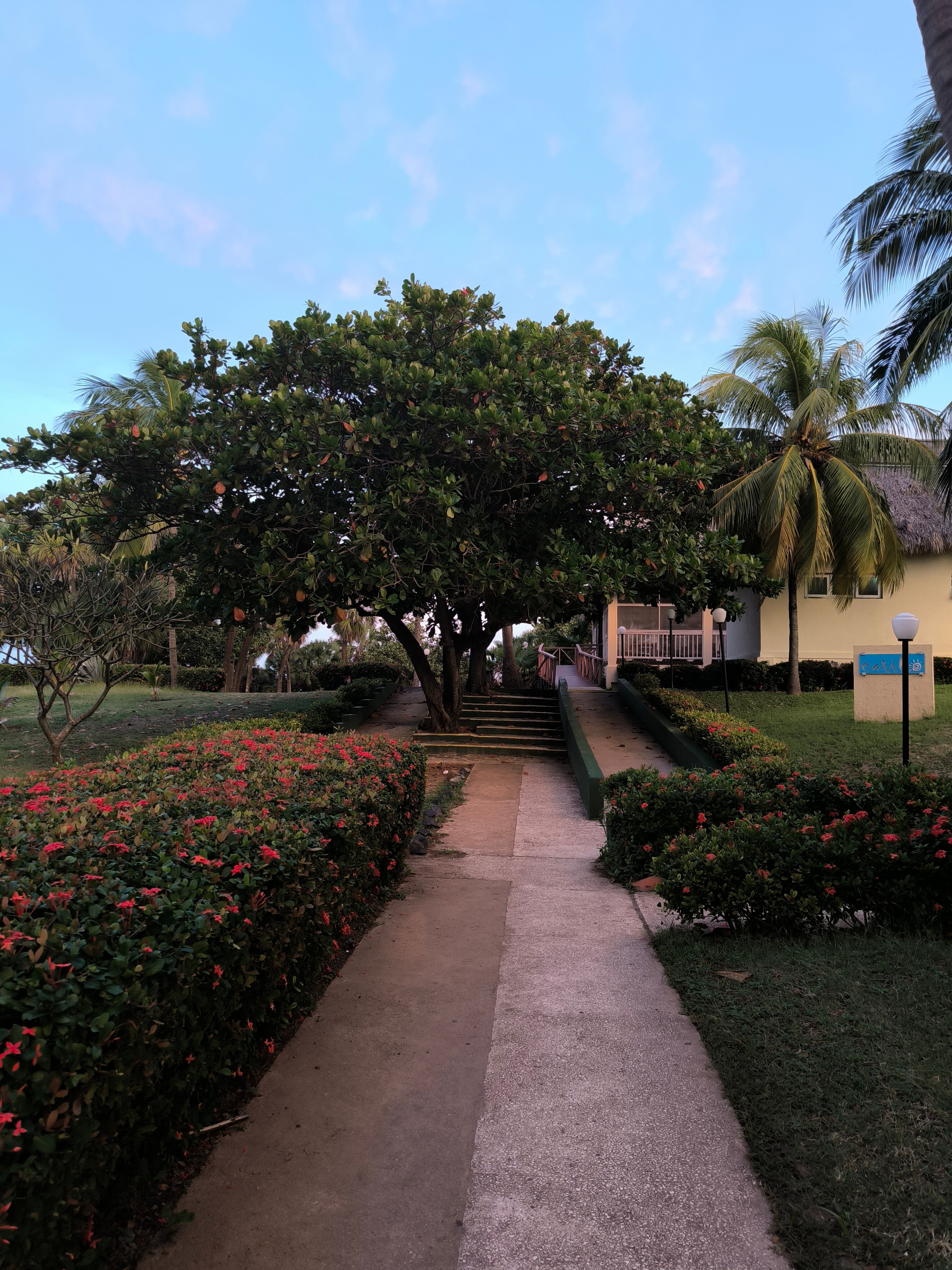 Фото Occidental Arenas Blancas by Barcelo