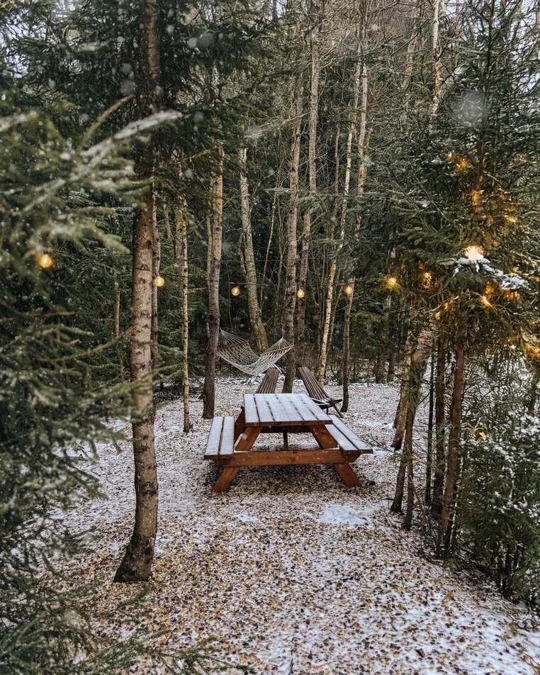 Фото Таймлесс