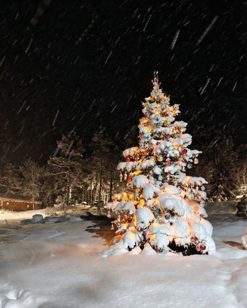 Фото Belka Village