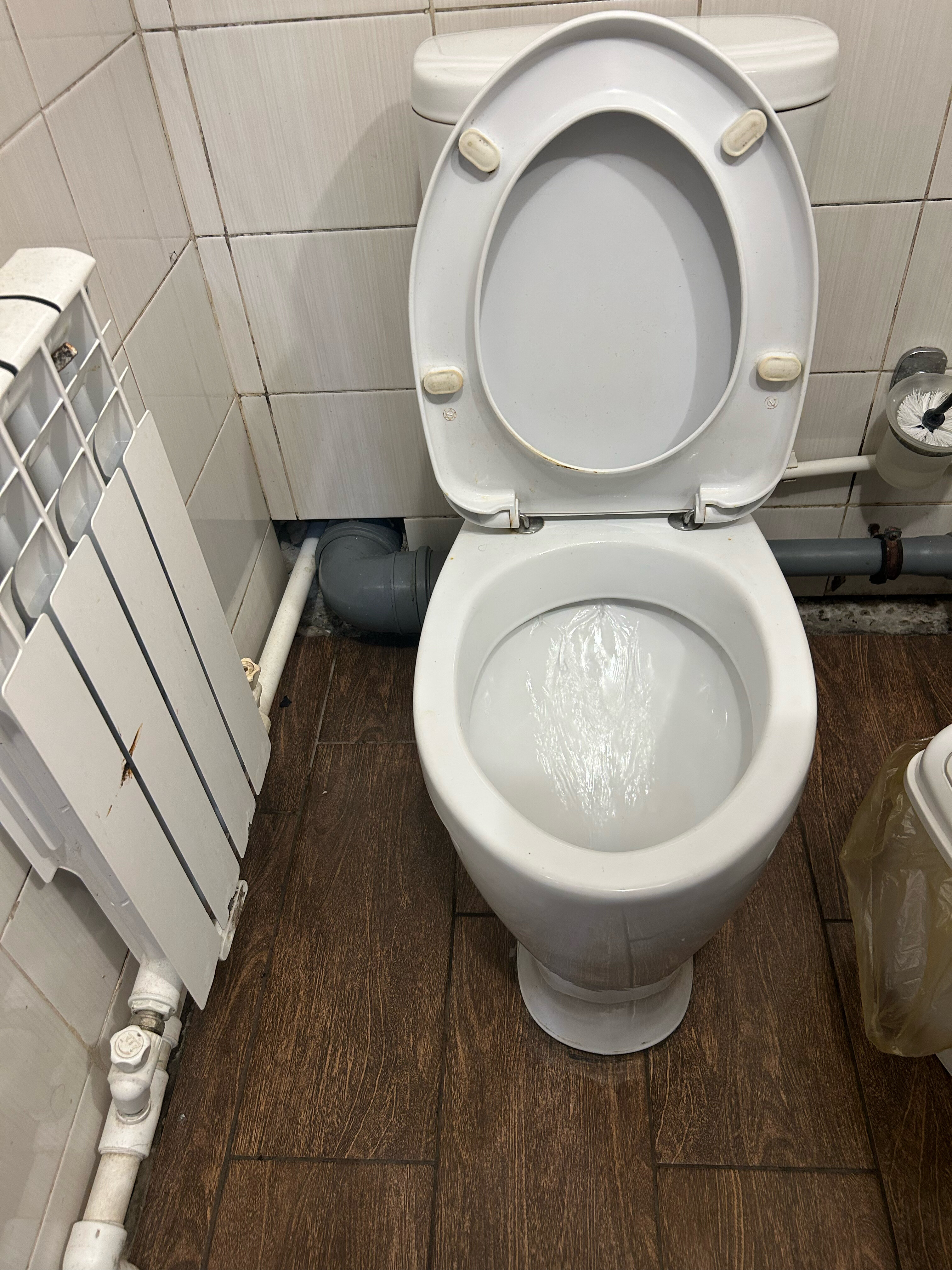 Фото Пальмы