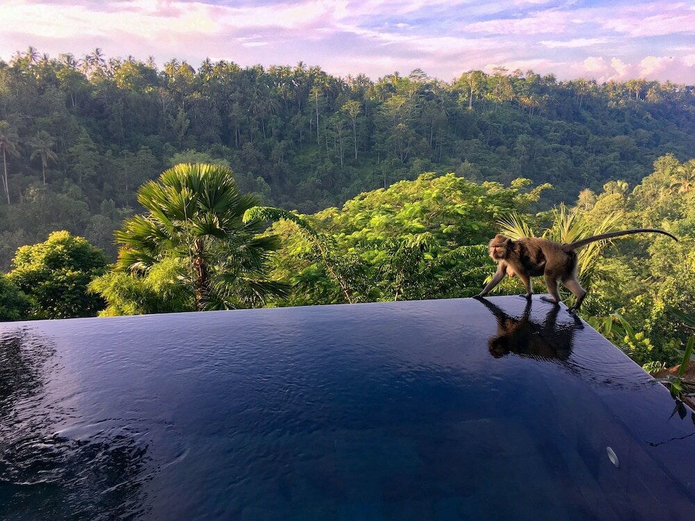 Фото Hanging Gardens of Bali