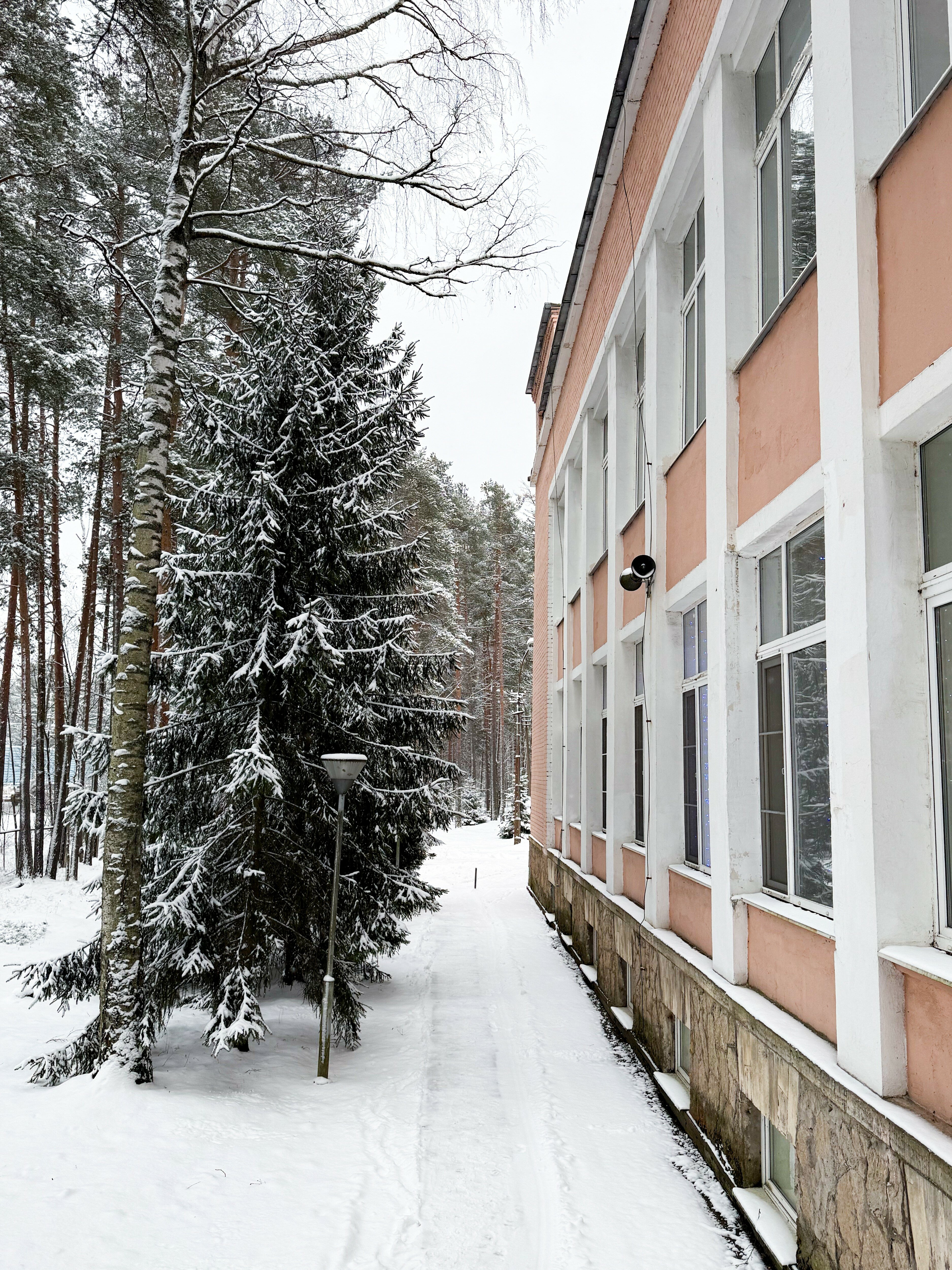 Фото Комарово