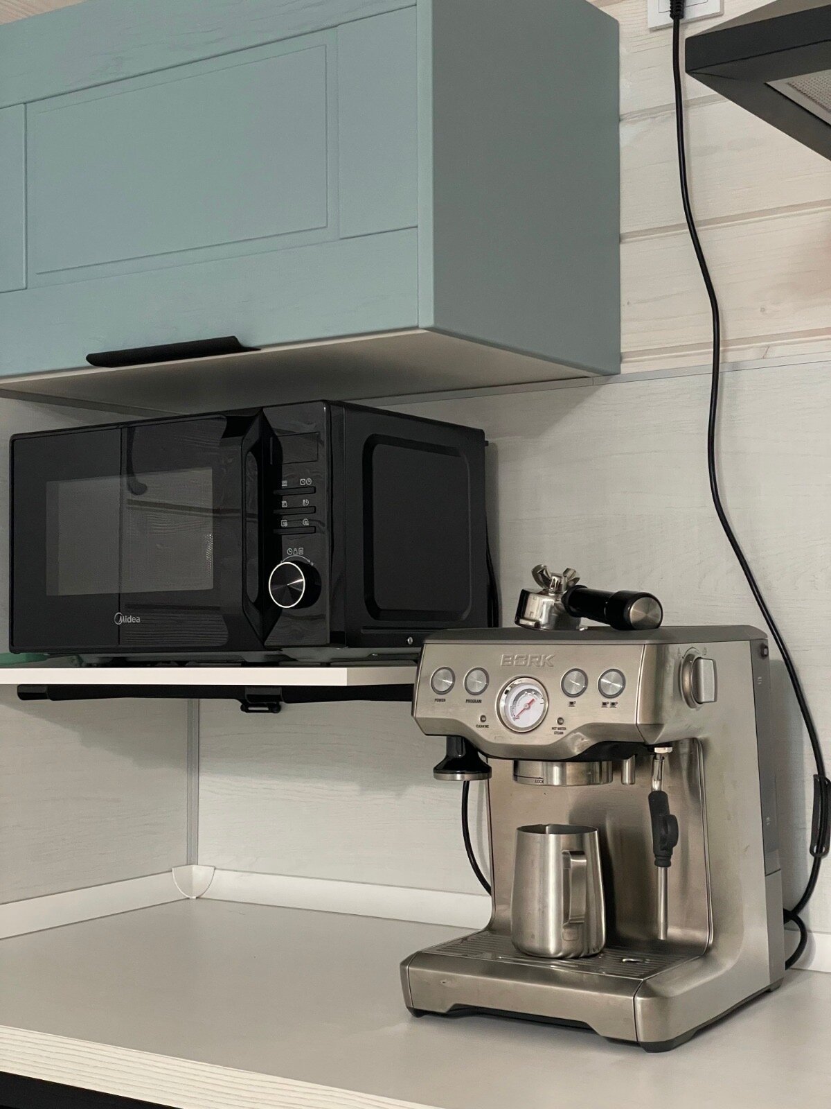 Фото Дикий гусь