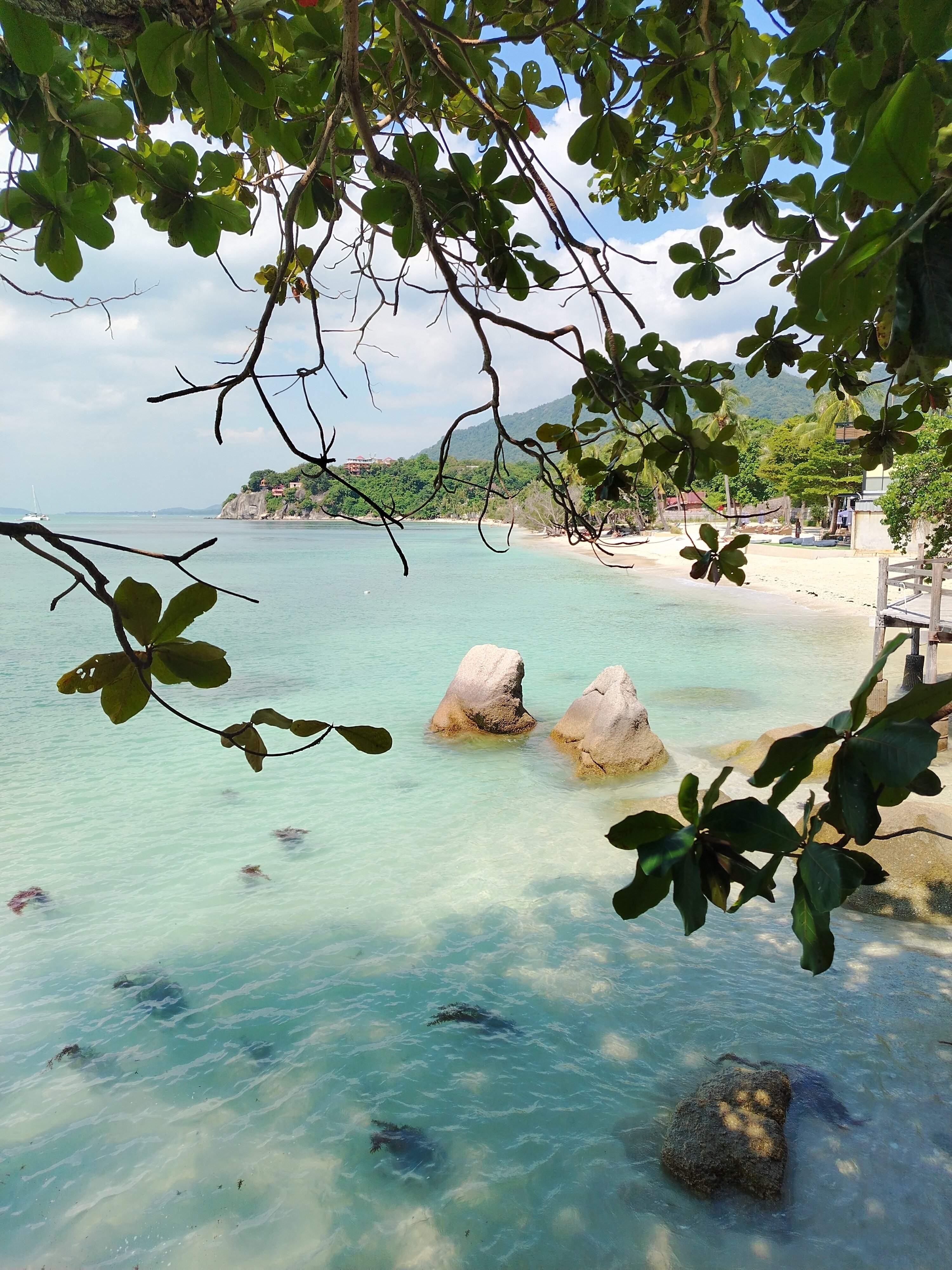 Фото Cocohut Beach Resort & SPA