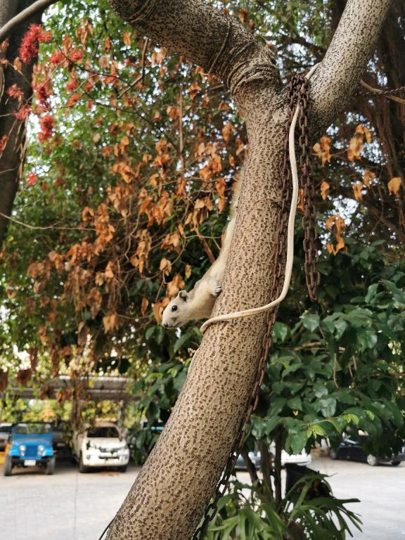 Фото The Park Hotel Pattaya