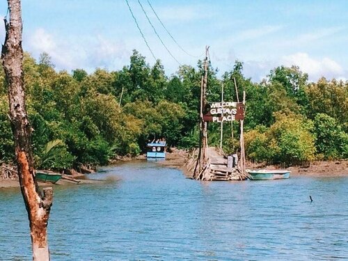 Гостиница Gustav's Place Beach & Diving Resort в Провинции Западный Миндоро