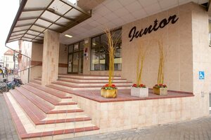 Гостиница Hotel Junior Podebrady
