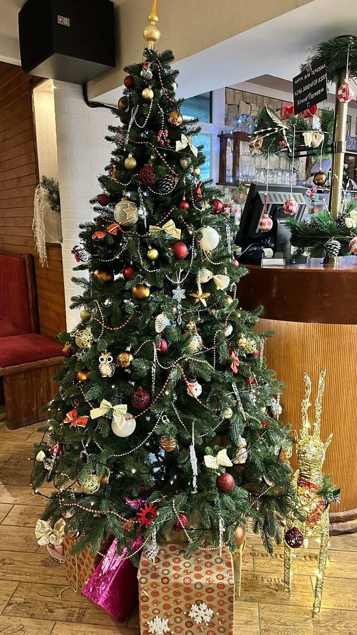 Фото Фламинго