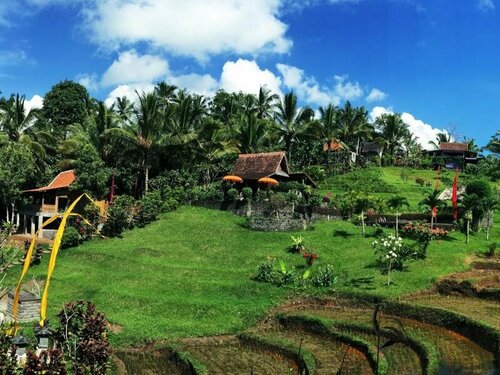 Внешний вид отеля Bali Lush в Пупуансавахе, фото 1