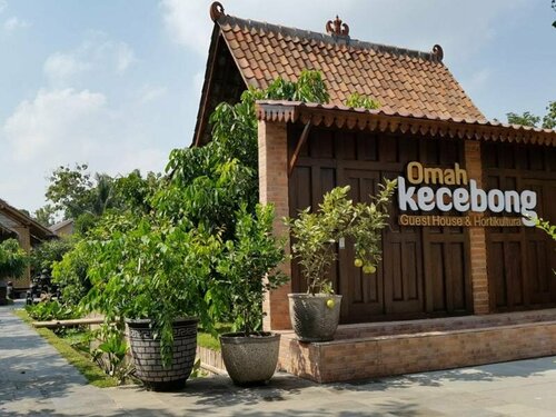 Omah Kecebong Guest House