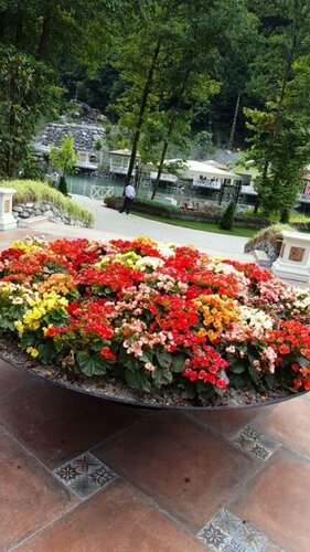 Гостиница Myhome Sapanca в Картепе