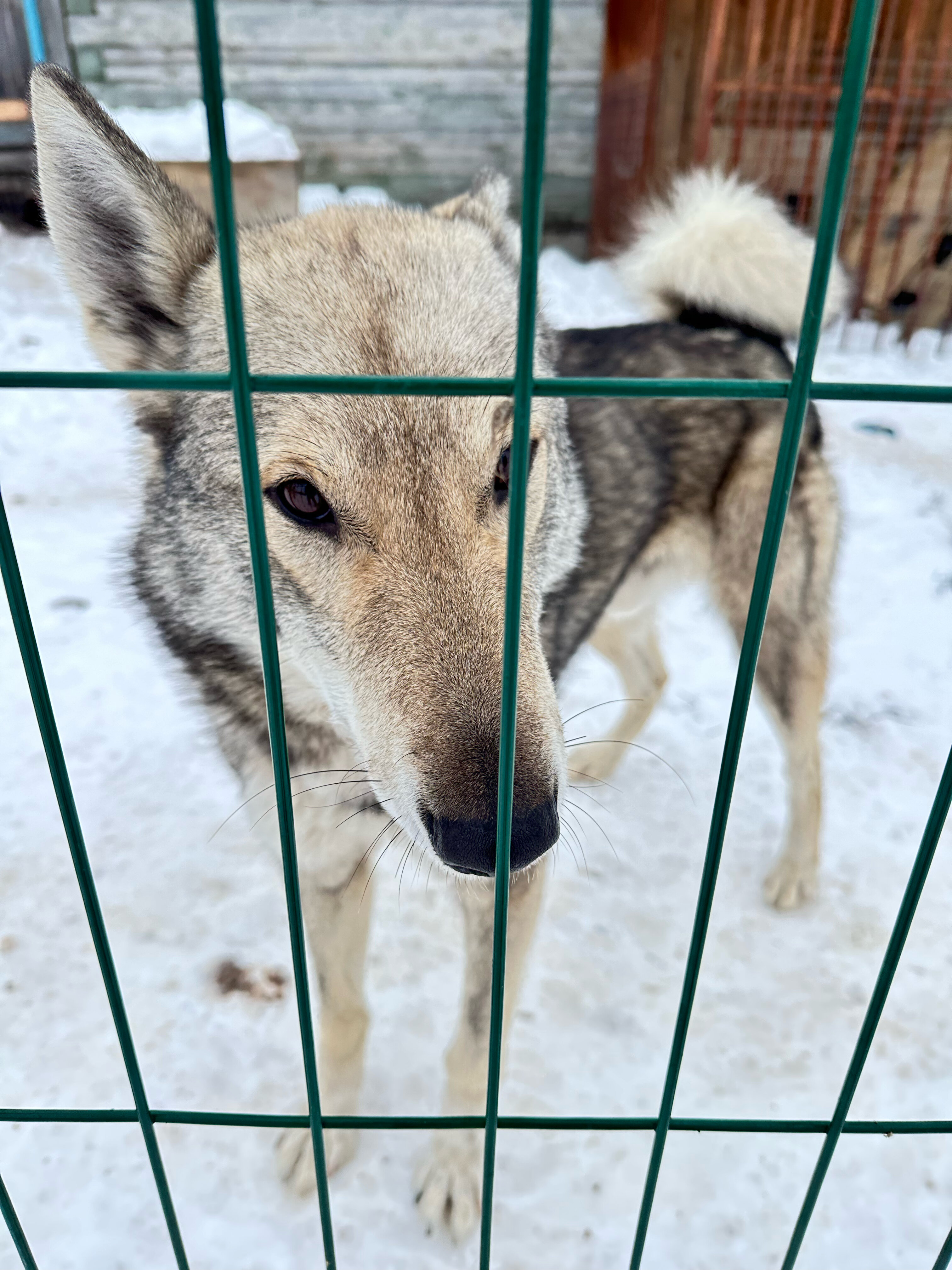 Фото Легенды Зауралья
