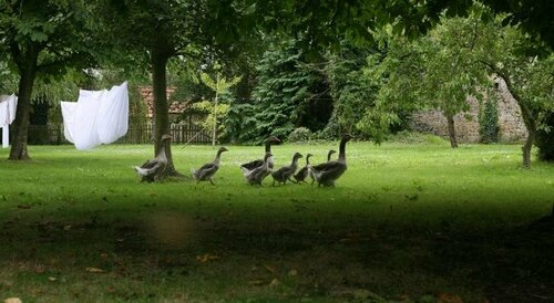 Гостиница Domaine du Haul в Шербур-Октевиле