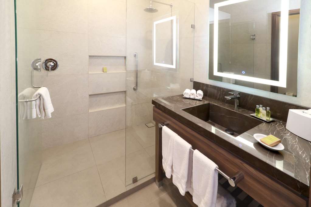 Фото Hilton Garden Inn Monterrey Obispado