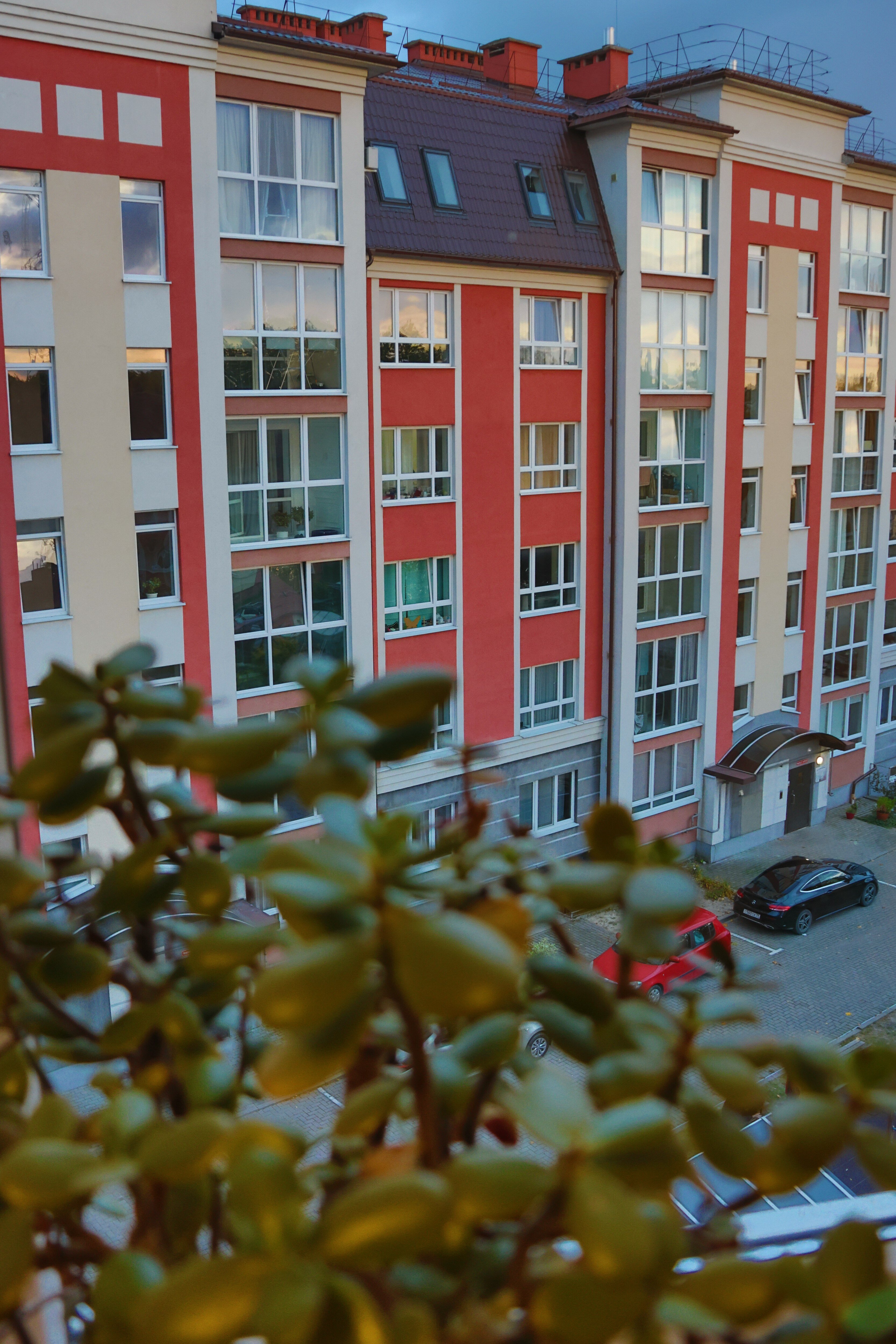 Фото Апартаменты White room