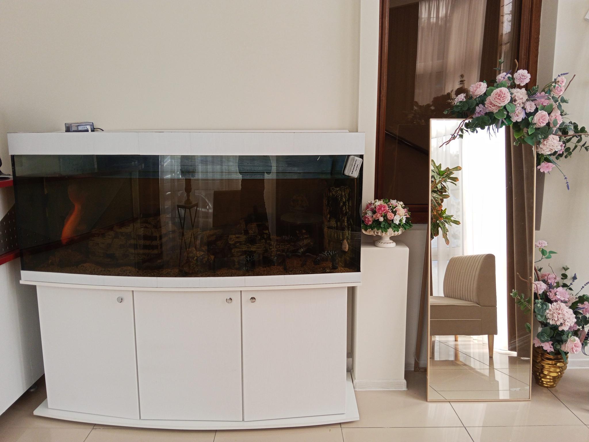 Фото Анфиса