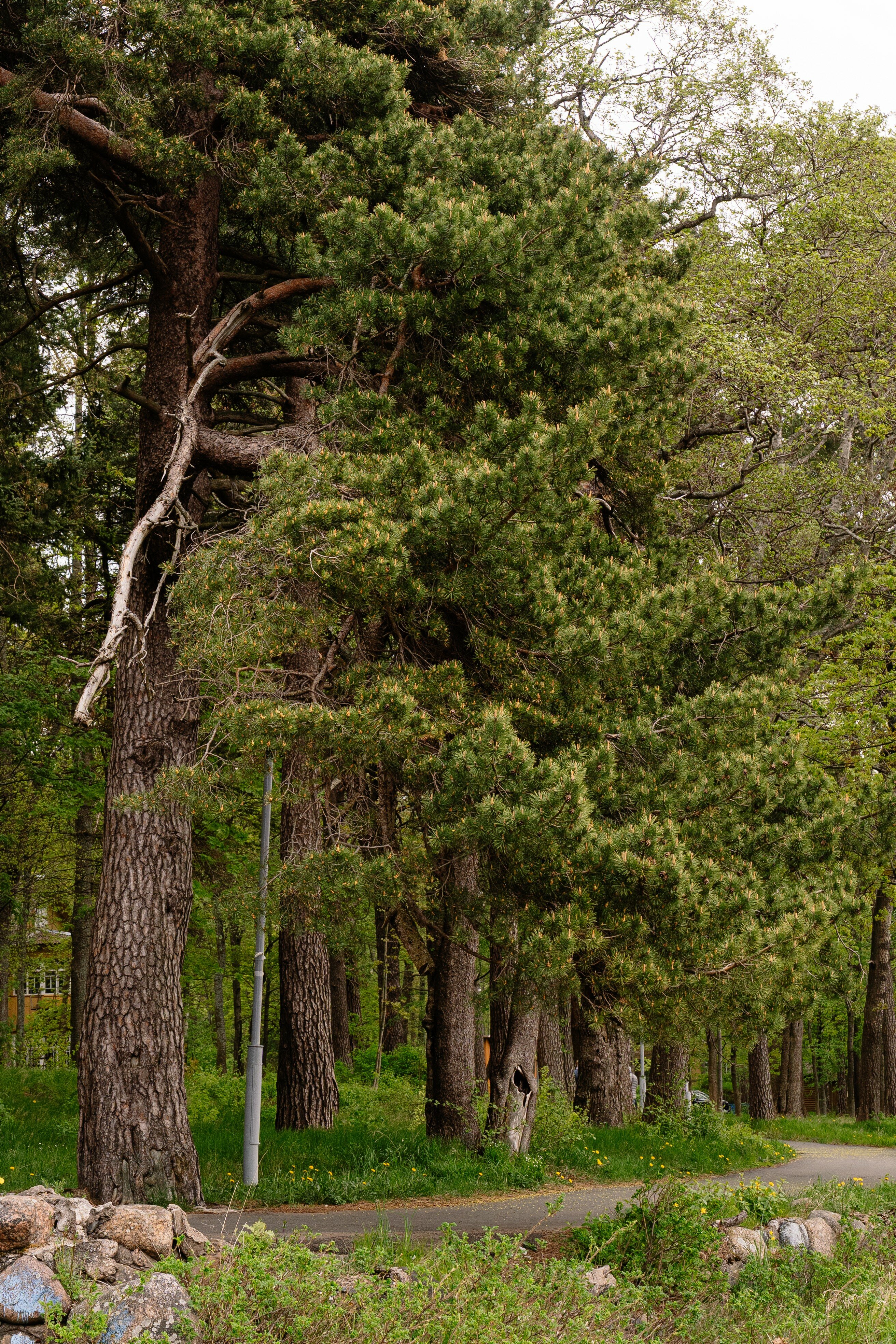 Фото Ривьера Апарт