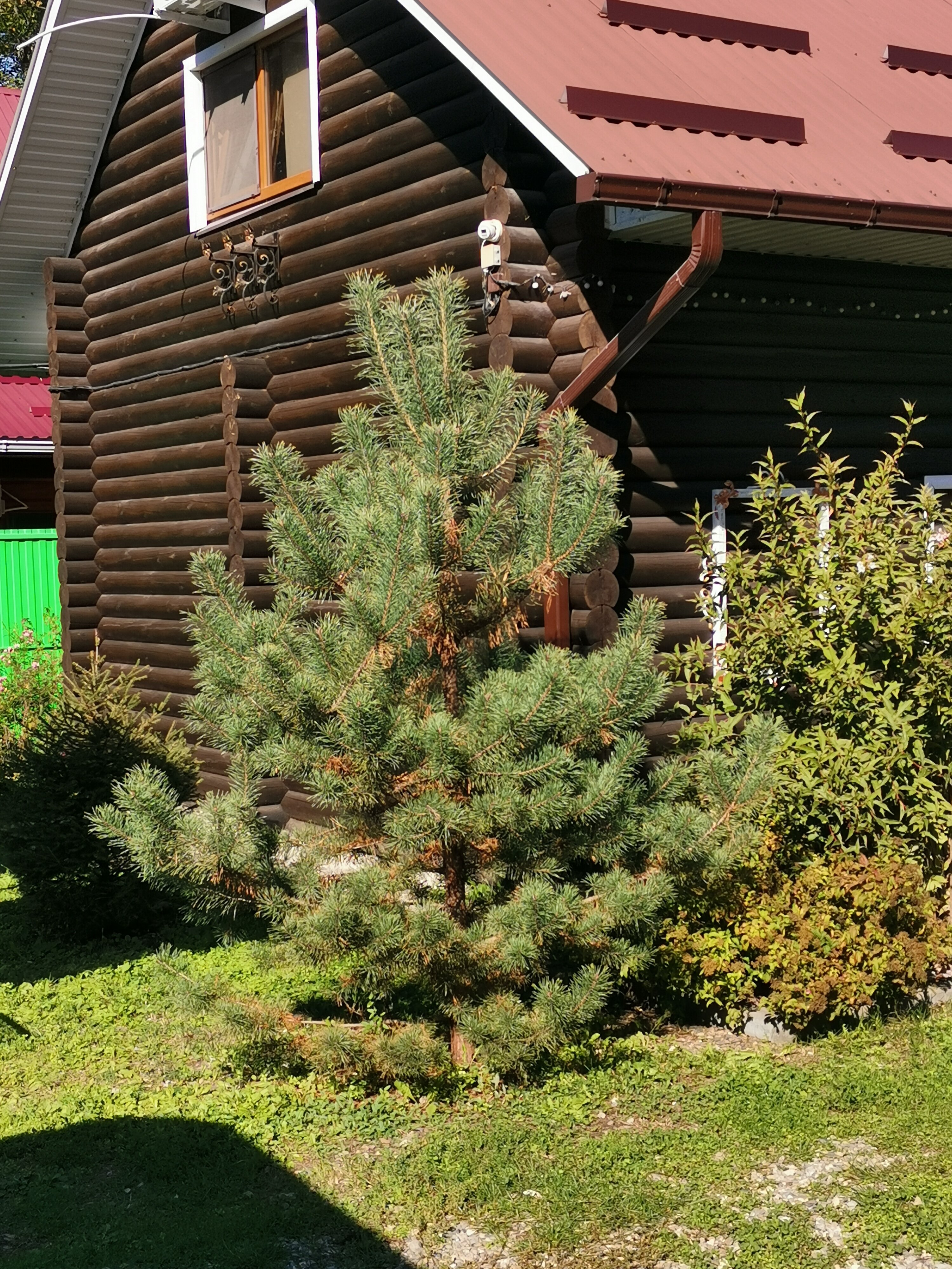 Фото Домовенок