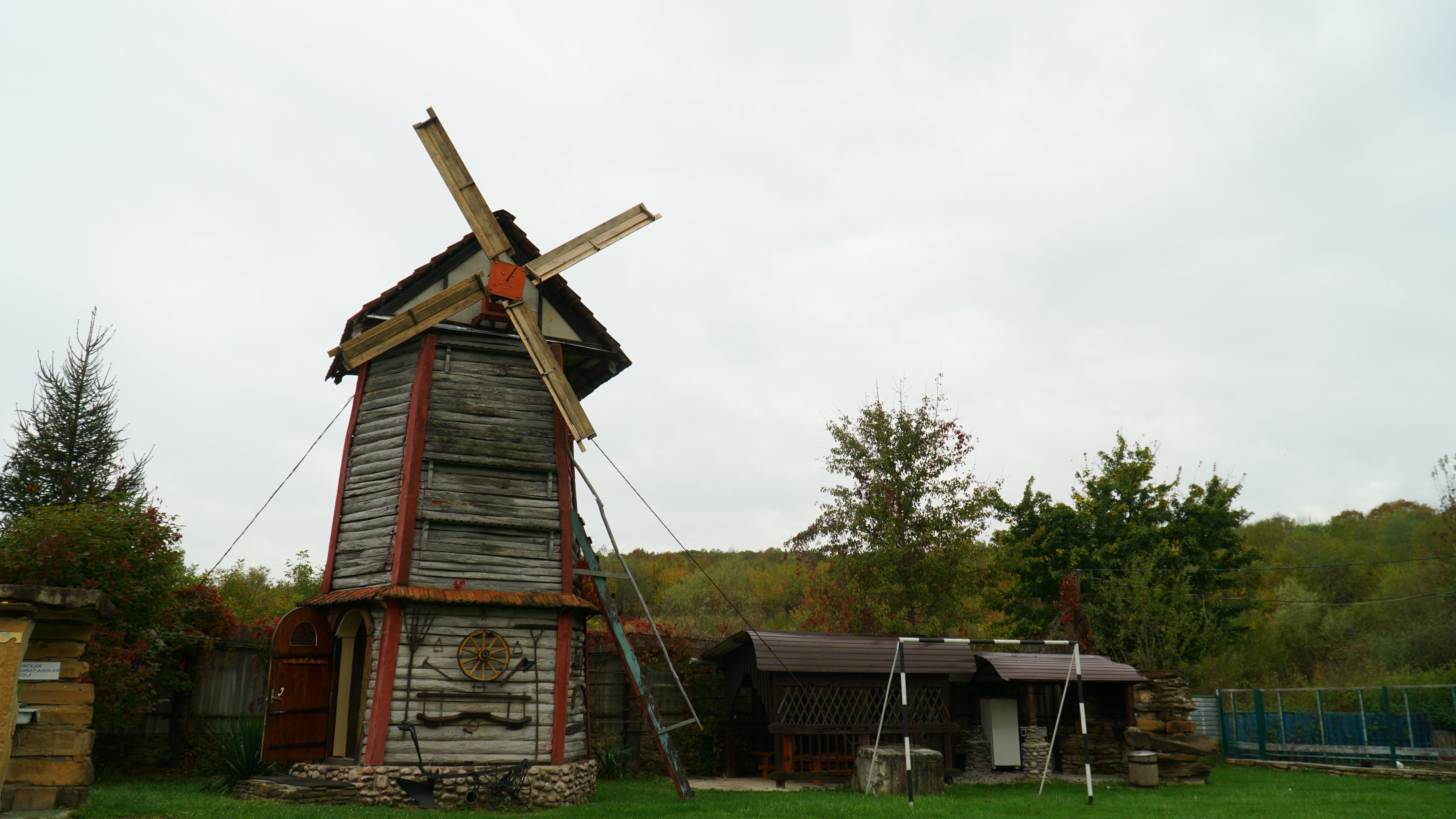 Фото Снежный Барс