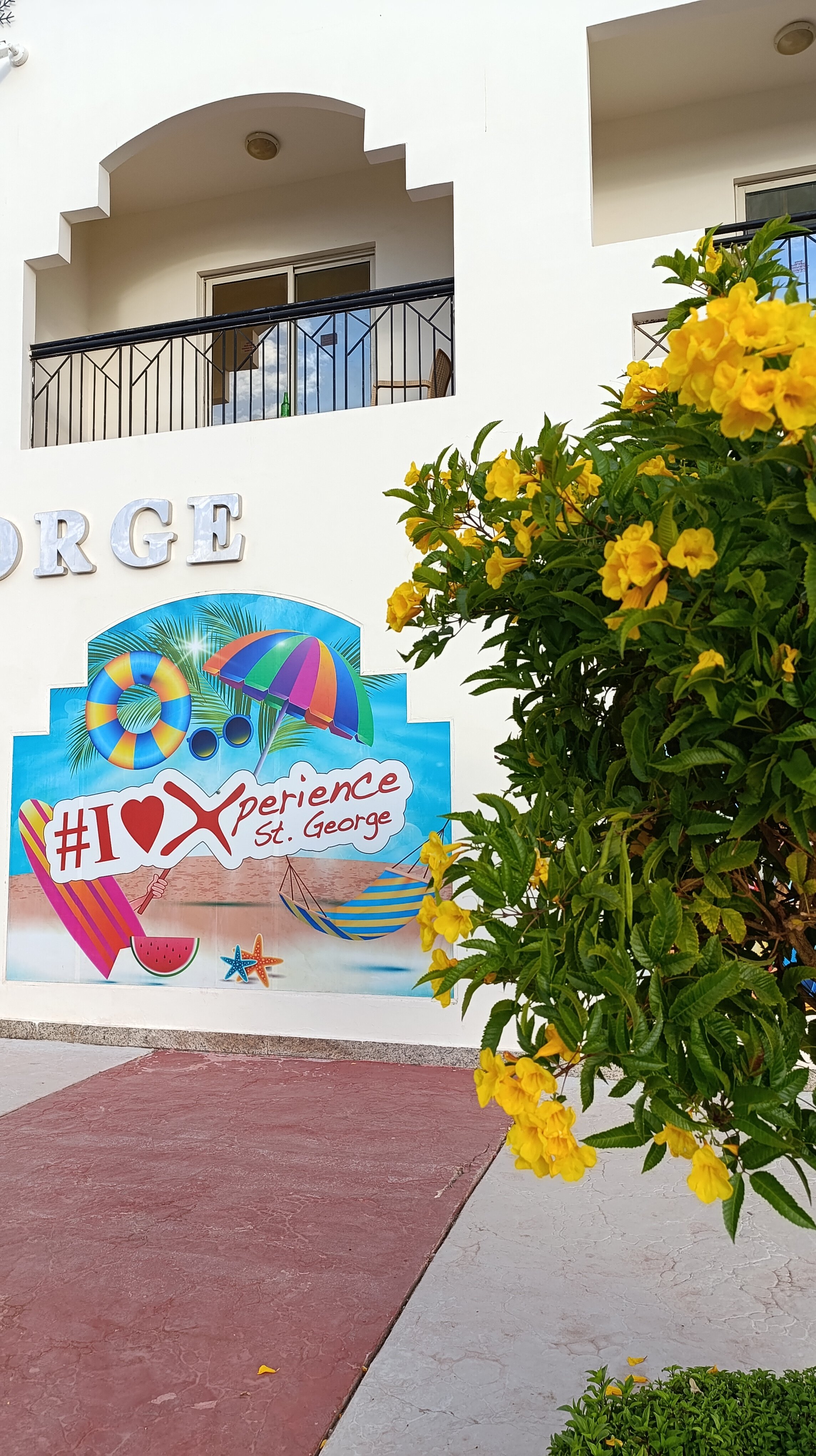 Фото Xperience St. George Homestay