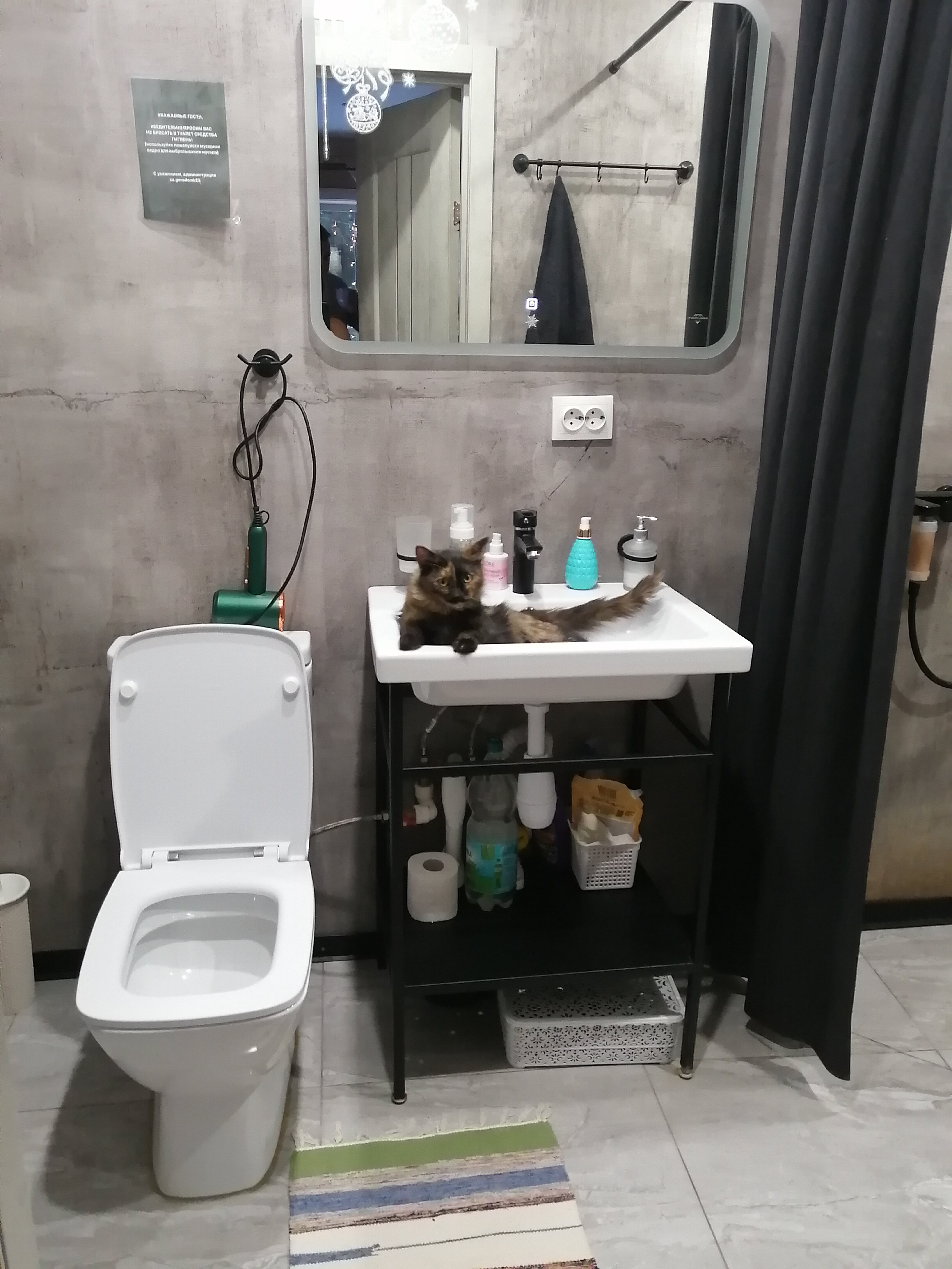 Фото Домики в лесу