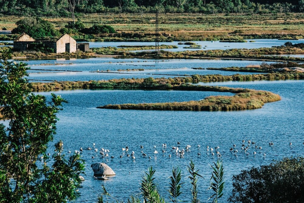 Фото Hôtel Costa Salina
