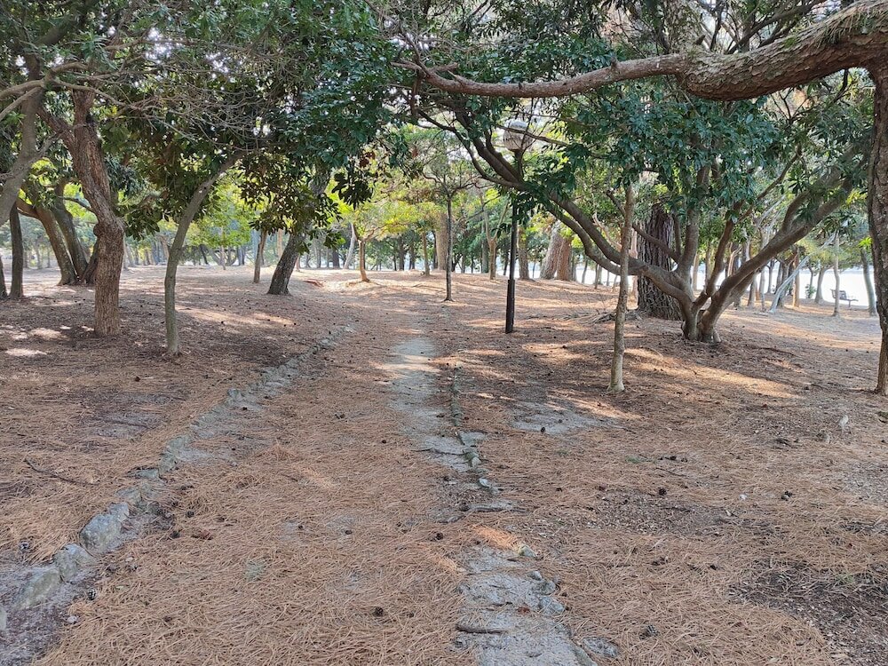Фото Heiwadai Hotel Otemon