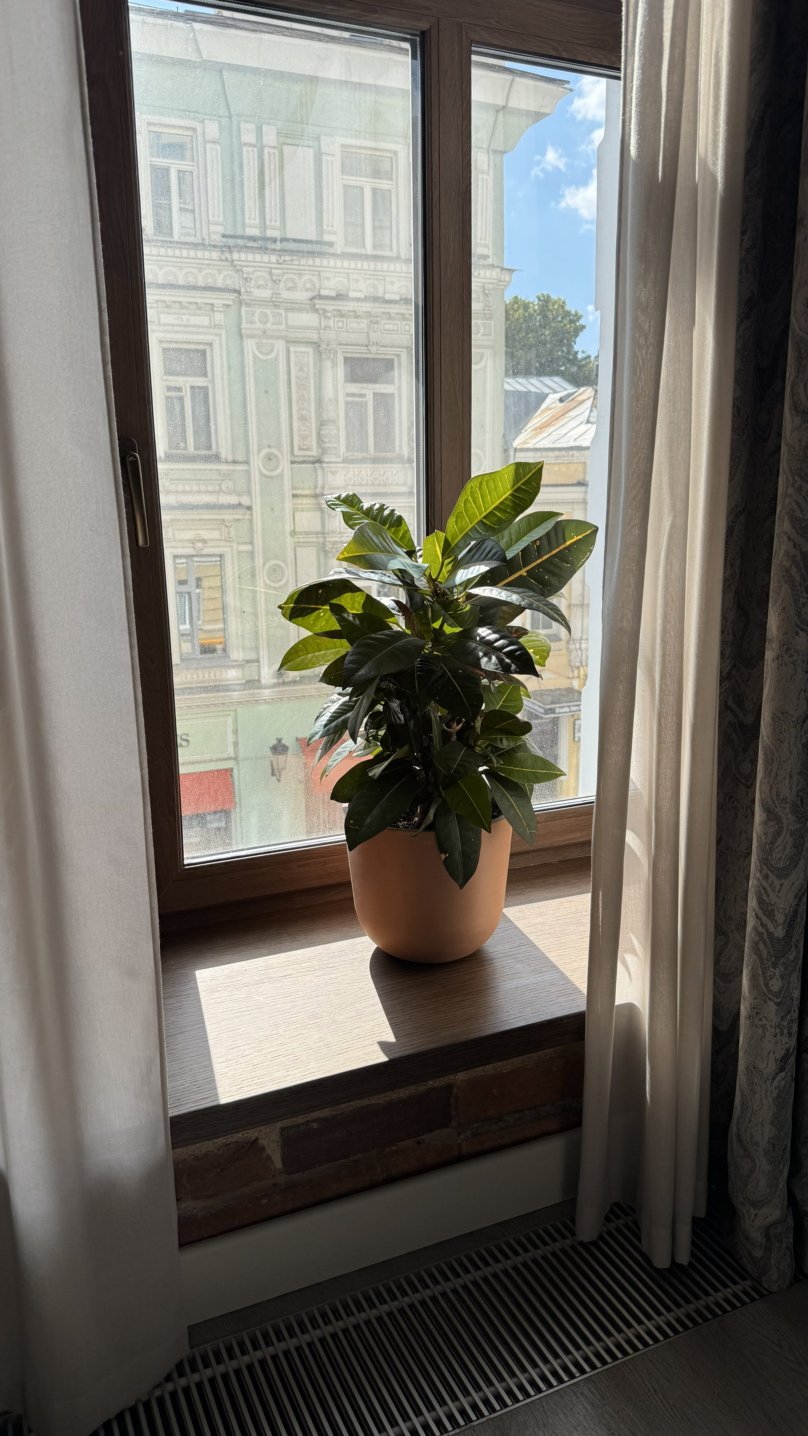 Фото Окно
