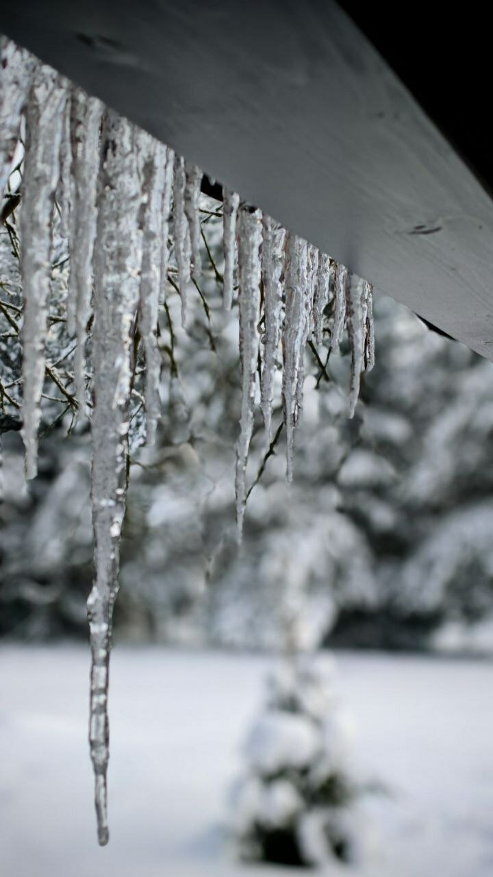 Фото Арт-усадьба Аршин