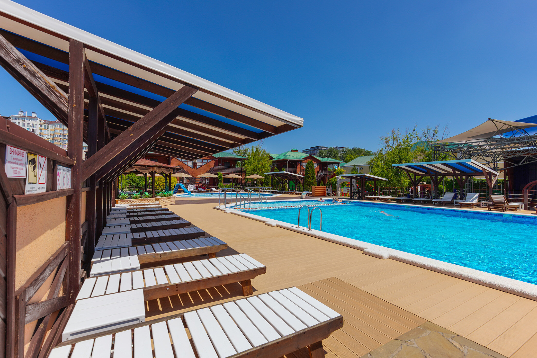 Фото Афалина